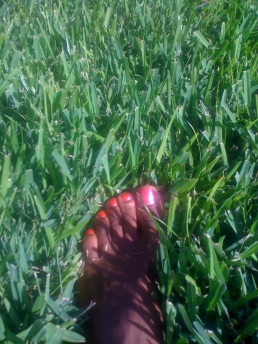 One day after work, I did handstands and cartwheels in this grass.
